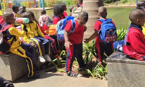 WhatsApp Image 2025-10-02 at 08.31.23